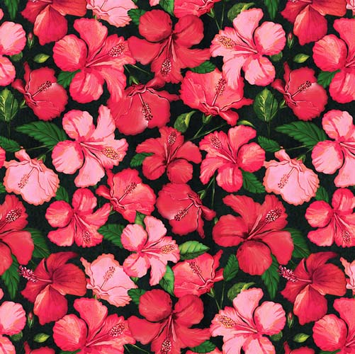 Tropical Paradise - Hibiscus -Black - Pink & red hibiscus flowers on black