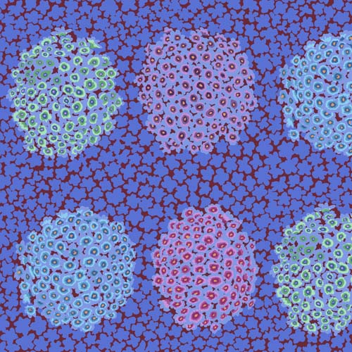 Hydrangea - Blue - Feb 2021 - Kaffe Fassett - large groups of small flowers