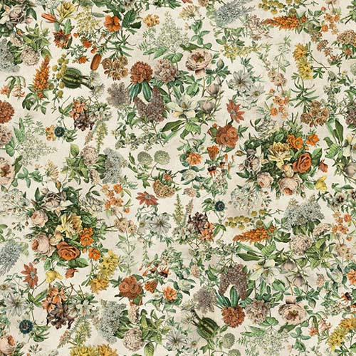 108" Wide Back - Tim Holtz Palette - Botanical - floral on cream