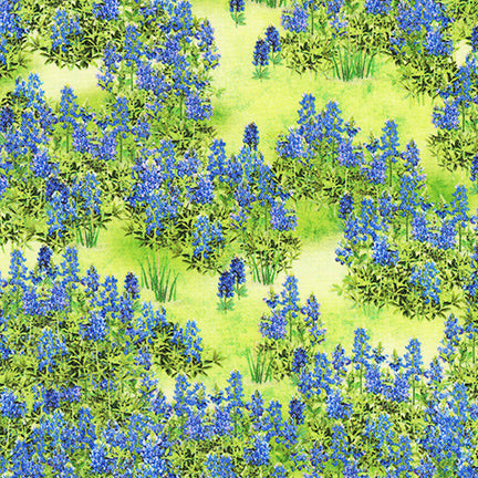 Texas in Bloom - Country, field of bluebonnets on green